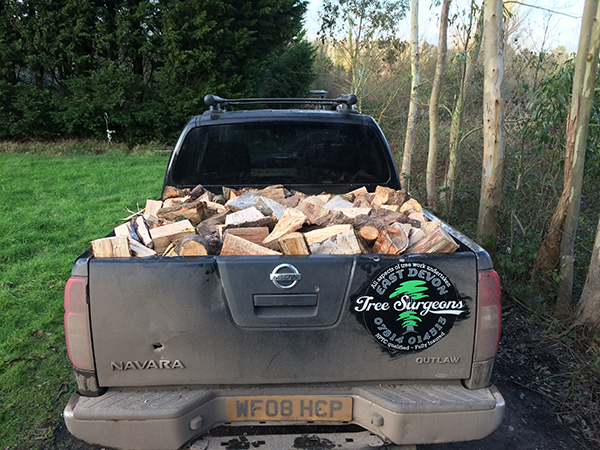 Logs and chippings