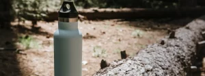 water bottle on a fallen tree