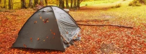 Essential Gear for Autumn Camping: What Sets It Apart