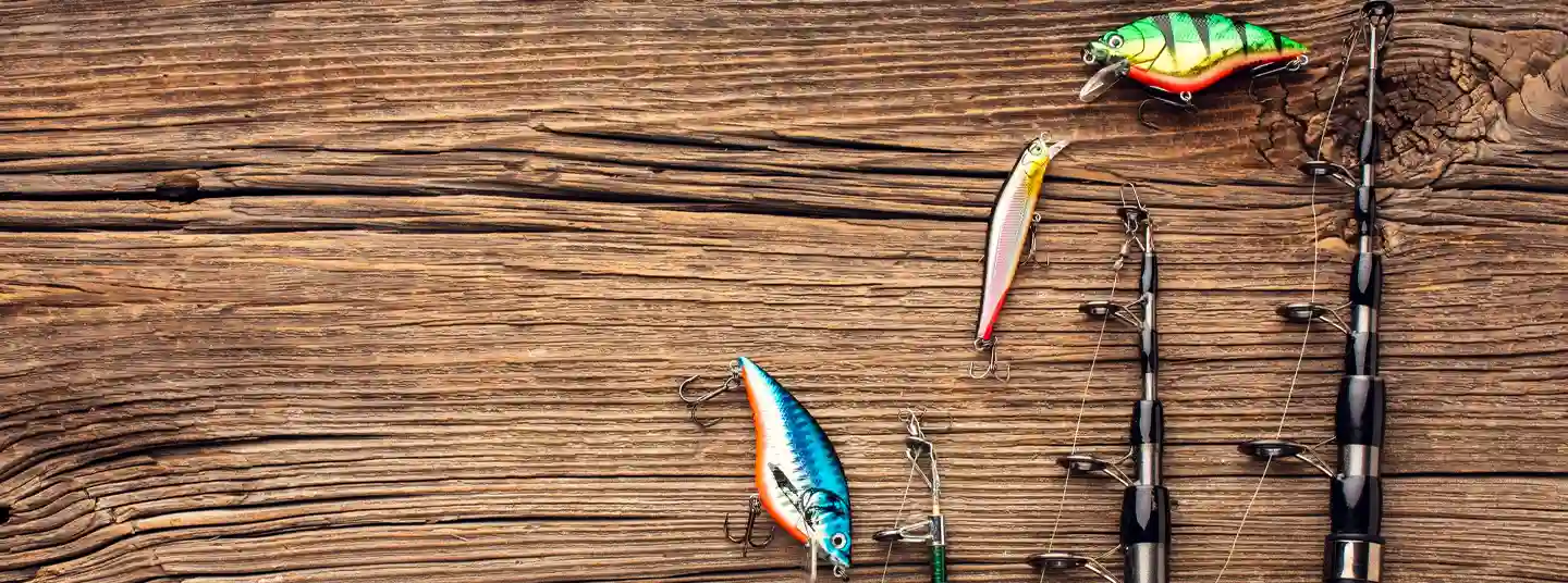Spring Fishing Guide: Top Spots & Tactics Revealed